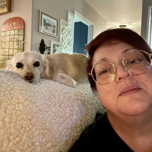 Dog sitter long beach store