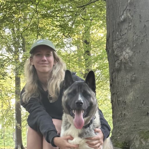 Profile image for pet sitter Léila