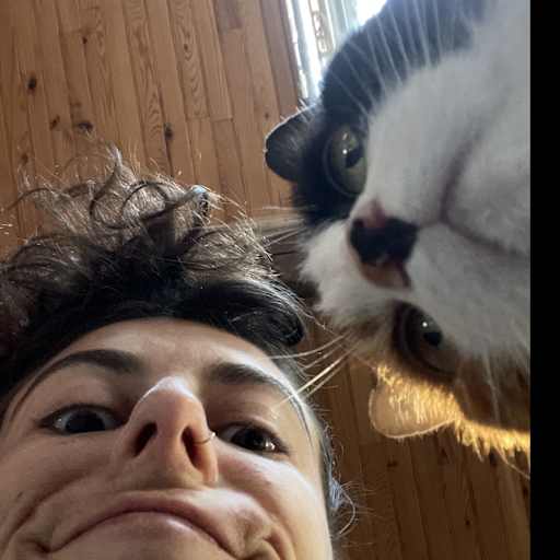 Profile image for pet sitters Marine & Aimeric