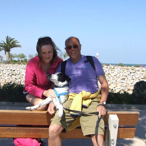 Profile image for pet sitter Frances