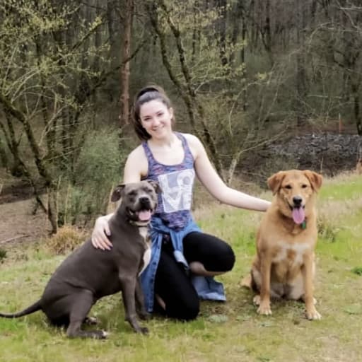 Profile image for pet sitters Katerina & Ivan