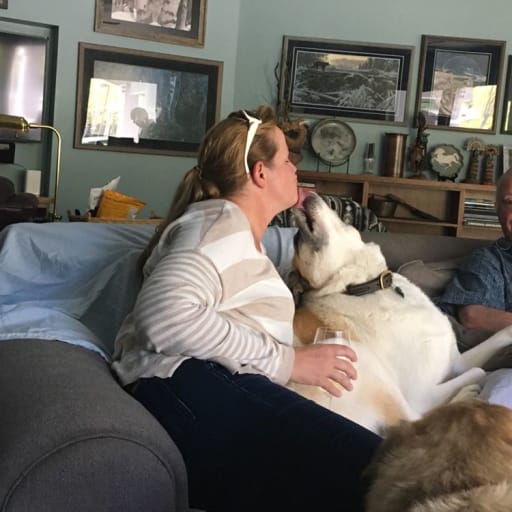 Profile image for pet sitter Catherine