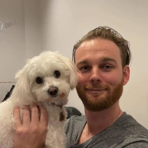 Profile image for pet sitter Daniel
