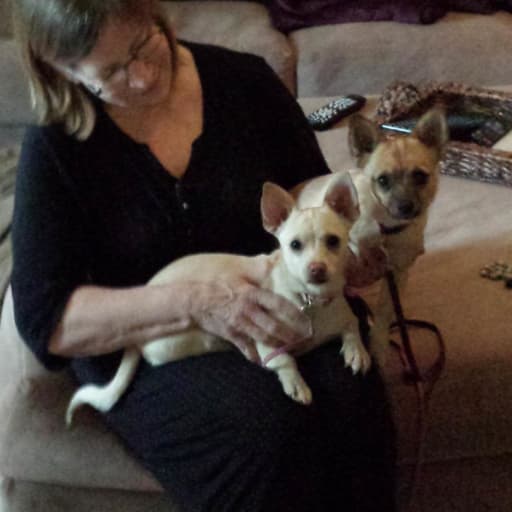 Profile image for pet sitter Terri