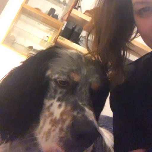 Profile image for pet sitters Val & Valentin