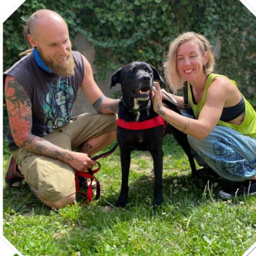 Profile image for pet sitters Lukas & Gabriela