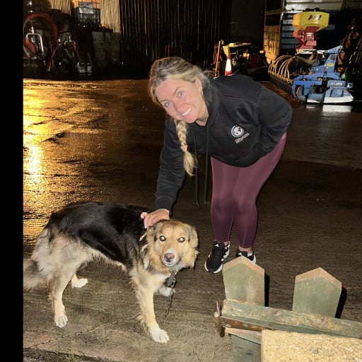 Profile image for pet sitters Nollaig & Denis 