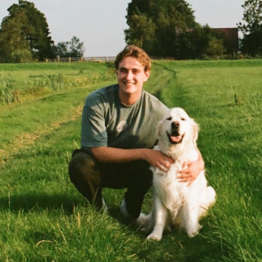 Profile image for pet sitter Martijn