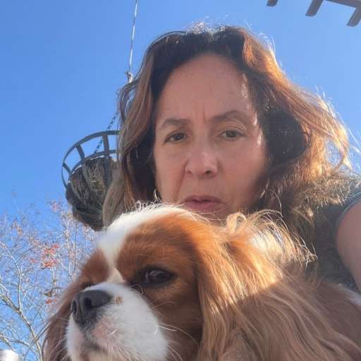 Profile image for pet sitters Katharine & Martin