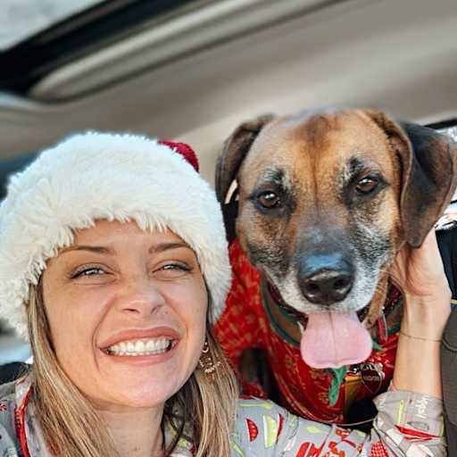 Profile image for pet sitter Aimee