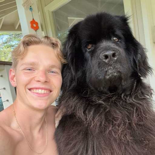 Profile image for pet sitter James