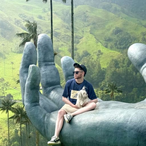 Profile image for pet sitter Felipe