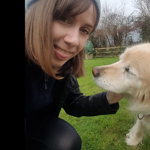 Profile image for pet sitter Orlagh