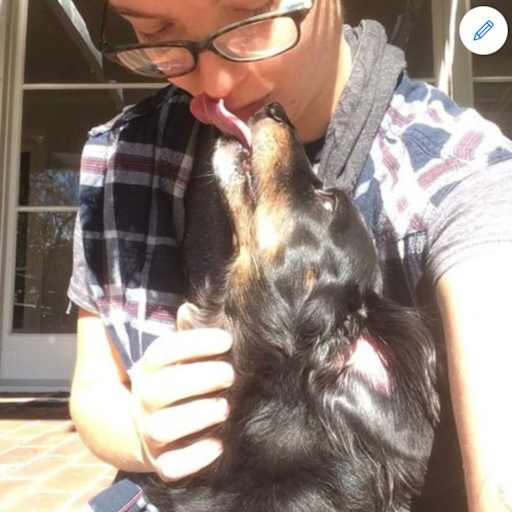 Profile image for pet sitter Skyla
