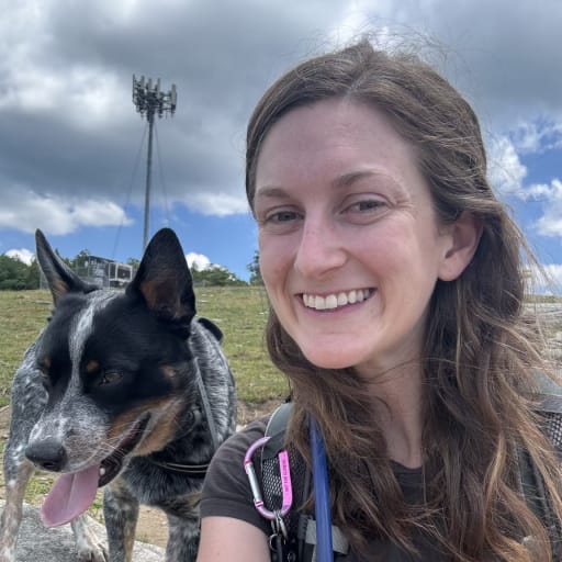 Profile image for pet sitter Ashley
