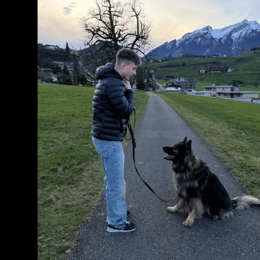 Profile image for pet sitter Roman