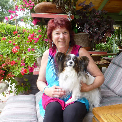 Profile image for pet sitter Ann