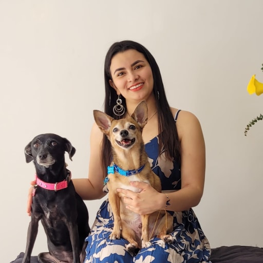 Profile image for pet sitters Dalila & Edwin