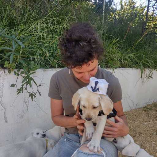 Profile image for pet sitter Kate