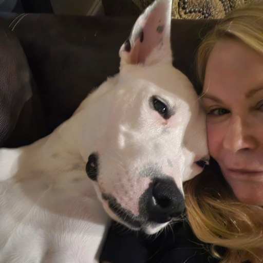 Profile image for pet sitter Christina