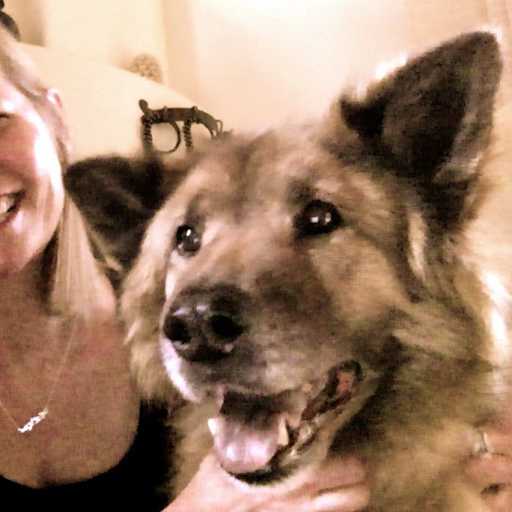 Profile image for pet sitter ellen mary