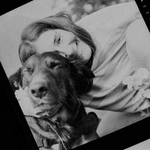 Profile image for pet sitter Juli