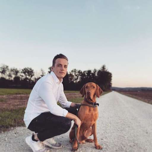 Profile image for pet sitter Martin