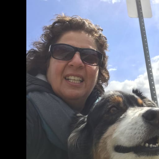 Profile image for pet sitter Terry
