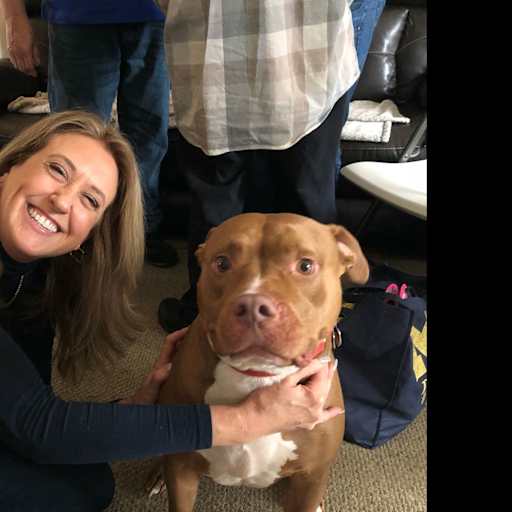 Profile image for pet sitter Patricia