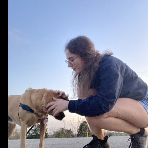 Profile image for pet sitter Skylar