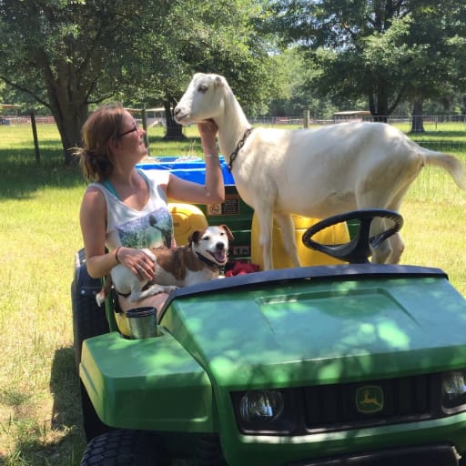 Profile image for pet sitter Mackenzie
