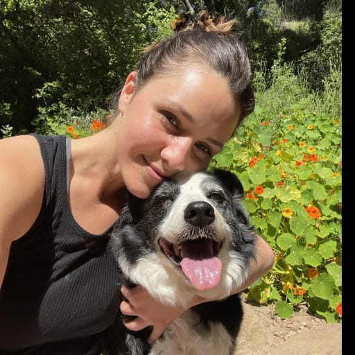 Profile image for pet sitter Katie