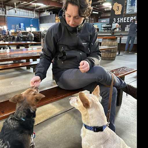 Profile image for pet sitter Peter