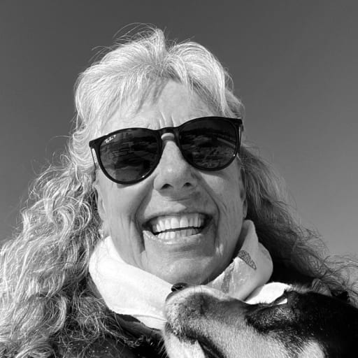 Profile image for pet sitter Lynne