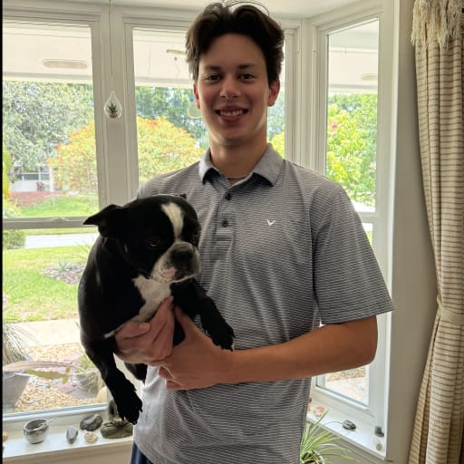 Profile image for pet sitter Kiran