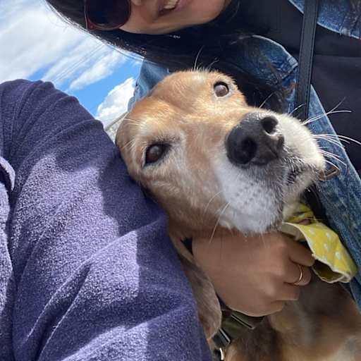 Profile image for pet sitter Metta