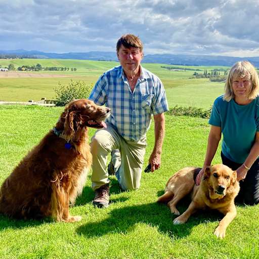 Profile image for pet sitters Sue & Steve 