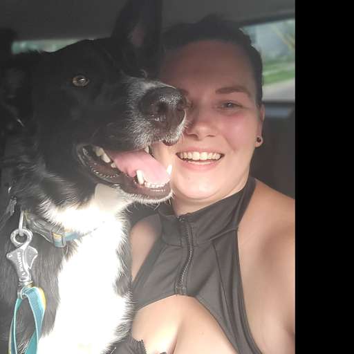 Profile image for pet sitter Casey