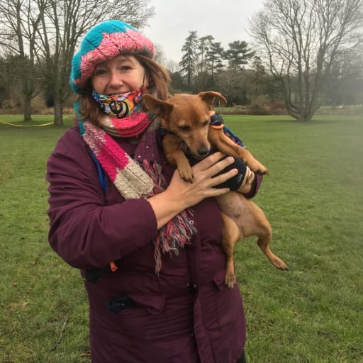 Profile image for pet sitter lisa