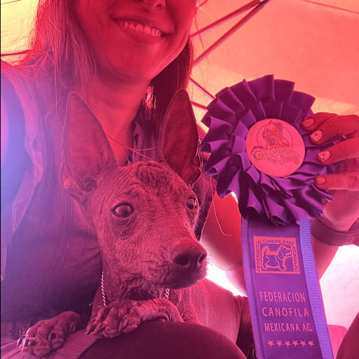 Profile image for pet sitter Berenice