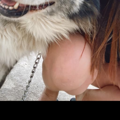 Profile image for pet sitter Renana