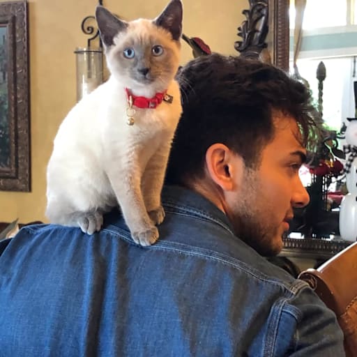 Profile image for pet sitter Eric