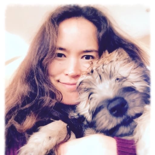 Profile image for pet sitter Yuki