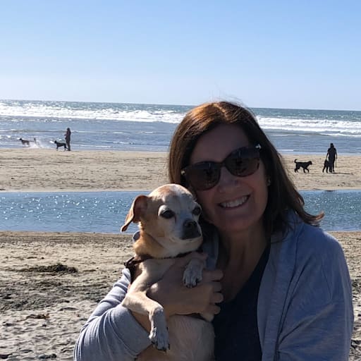 Profile image for pet sitter June