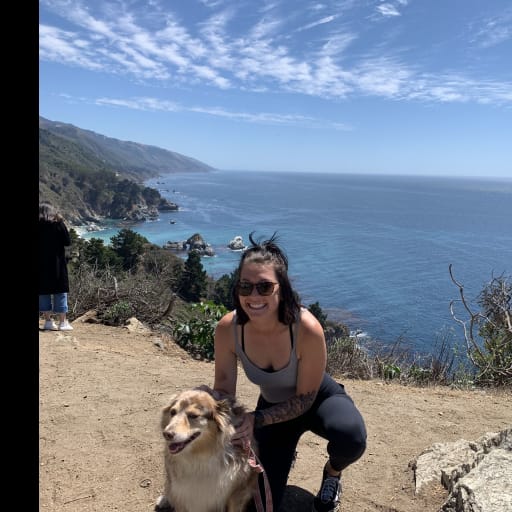 Profile image for pet sitter Lauren