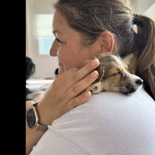 Profile image for pet sitter Anna