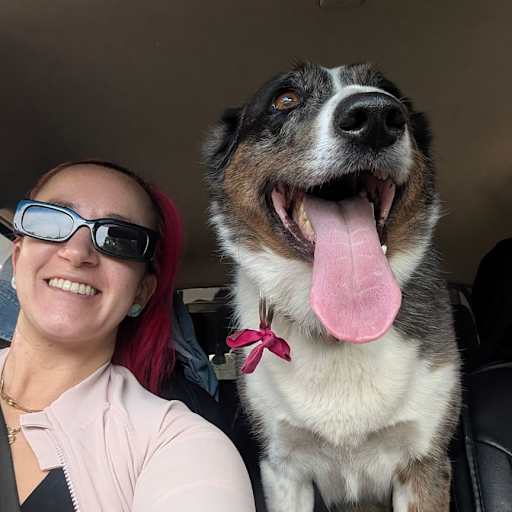 Profile image for pet sitter Lauren