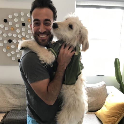 Profile image for pet sitter Eliran