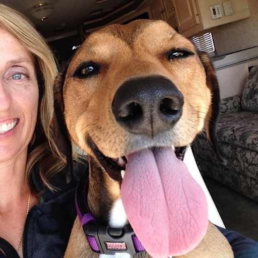Profile image for pet sitter Diane