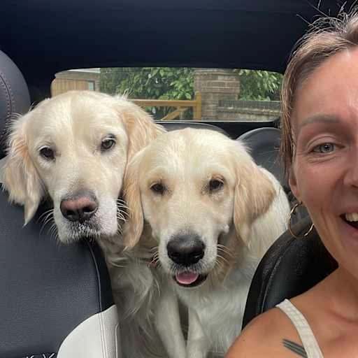 Profile image for pet sitter Amber